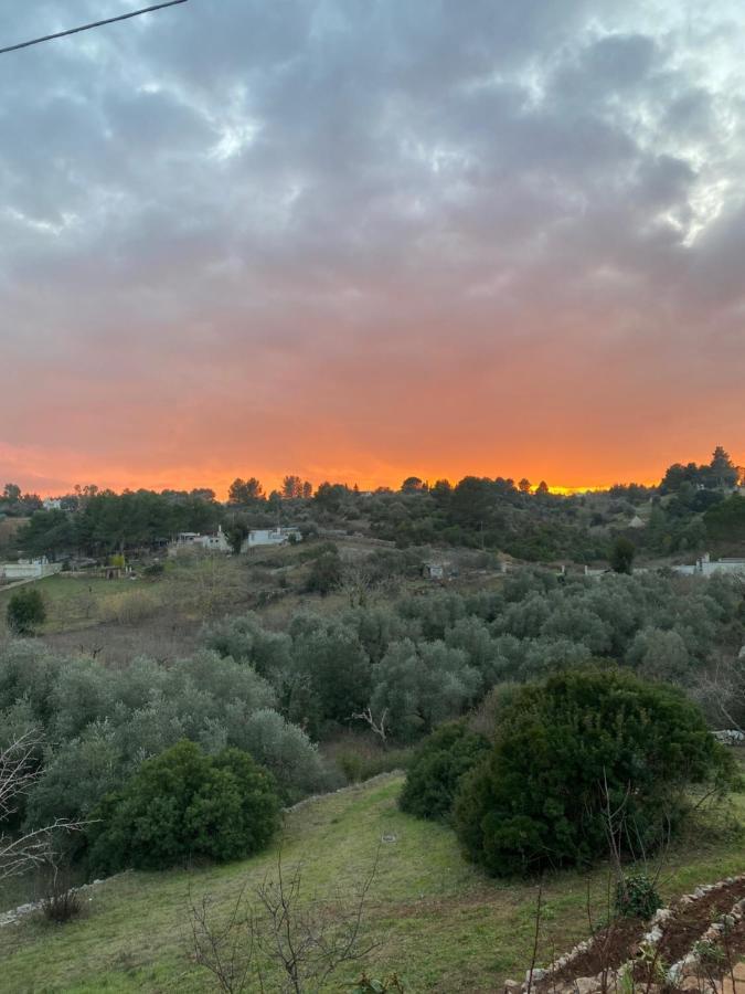 Yours Trulli Martina Franca Kültér fotó